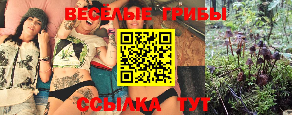 Псилоцибиновые грибы Magic Shrooms Череповец