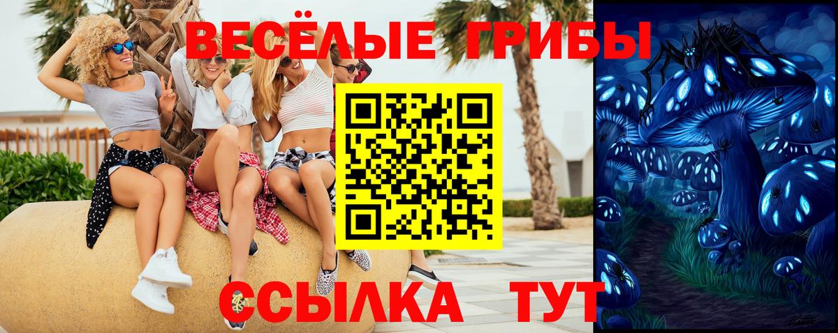 Псилоцибиновые грибы прущие грибы  Псилоцибиновые грибы прущие грибы  что такое наркотик  Череповец 