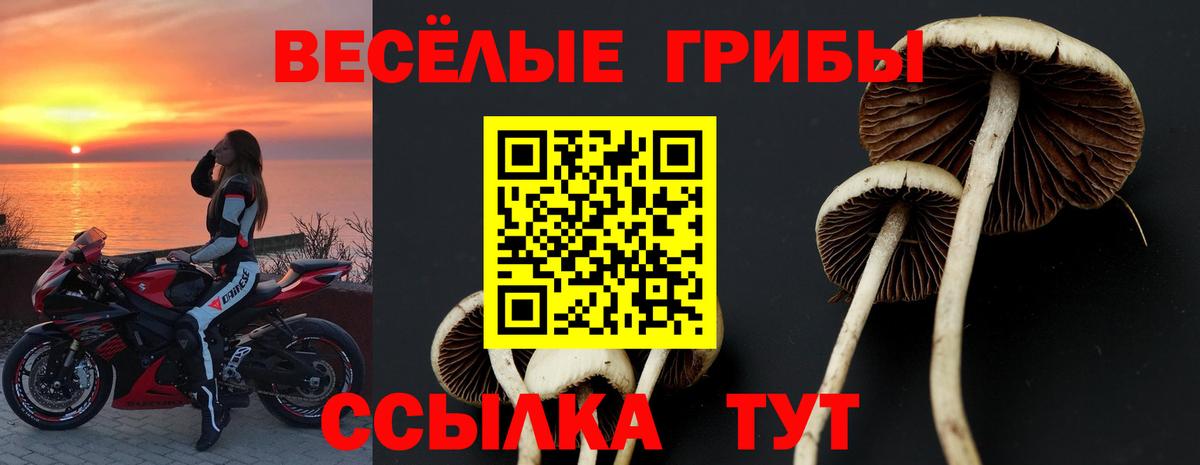 Галлюциногенные грибы MAGIC MUSHROOMS  Вход с VPN  продажа наркотиков  Череповец 